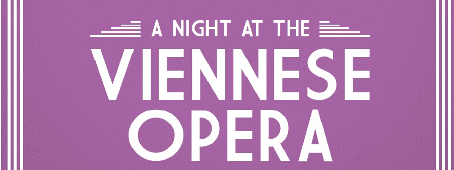 A Night at the Viennese Opera
